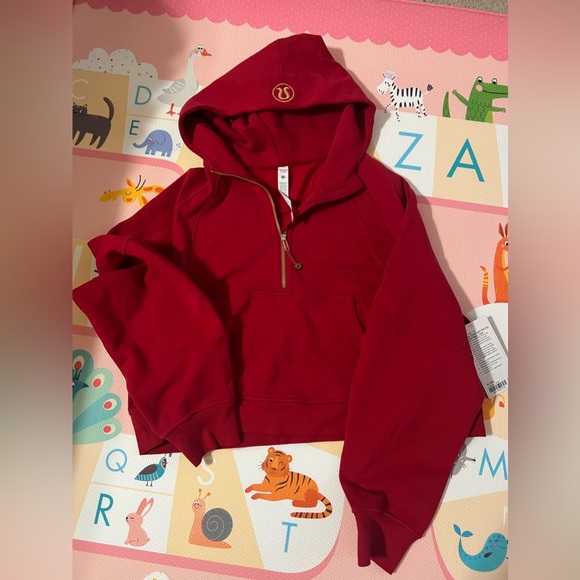 NWOT Lululemon Lunar New Year Oversized Scuba 1/2 Zip hoodie - Picture 4 of 9
